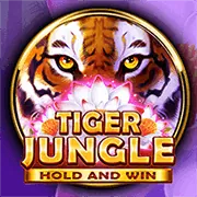 Logo JDB Gaming